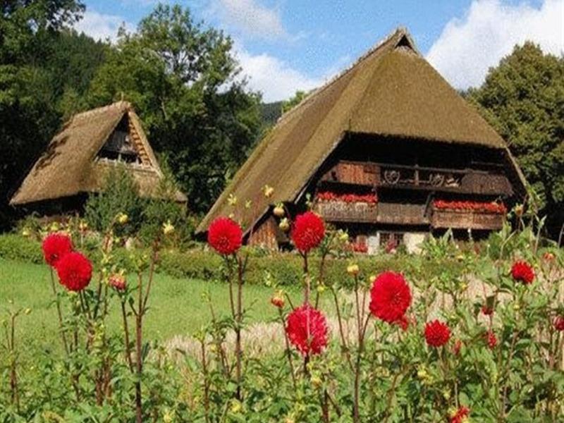 Gasthaus Finken Oppenau Bagian luar foto