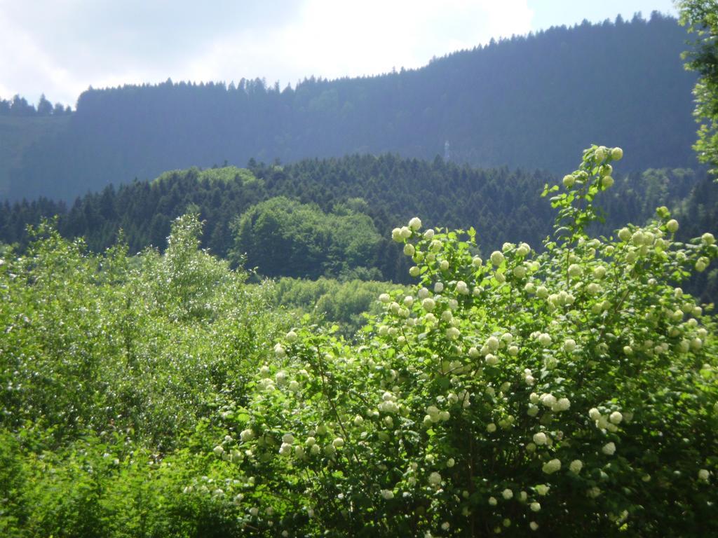Gasthaus Finken Oppenau Bagian luar foto